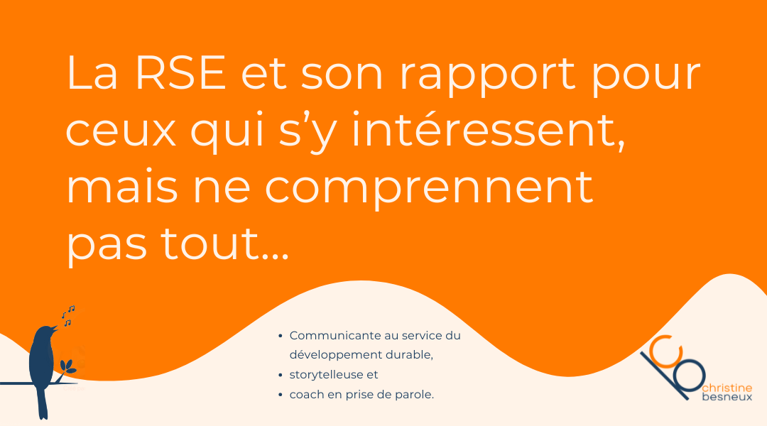 La RSE et son rapport pour ceux qui s’y intéressent mais ne comprennent pas tout…